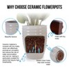 KTMBDW Ceramic Flowerpot, Modern Planter with Featuring Glossy finish for Patio, Garden, Windowsill - 4 of 4