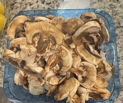 Guest review image 1 of 1, zoom in