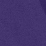 midnight violet