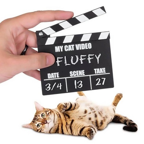 Accoutrements Cat Video Clapperboard Accessory - image 1 of 4