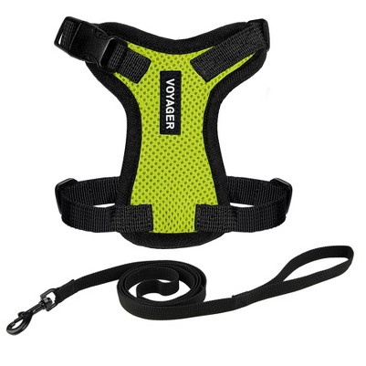 lime green/black trim