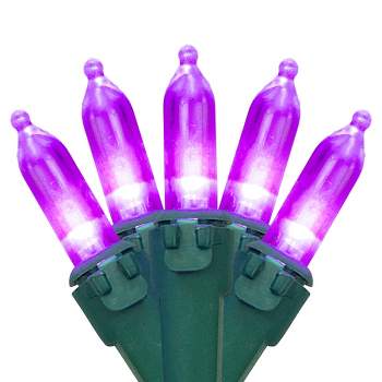 Northlight 100-Count Purple LED Mini Christmas Lights, 33ft Green Wire