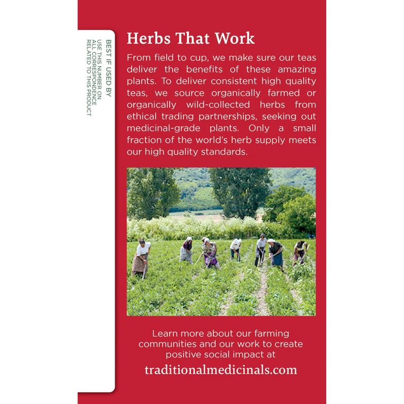 Traditional Medicinals Organic Throat Coat Herbal Dietary Supplement Herbal Tea - 16ct, 4 of 10