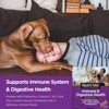 Nutri-Vet Digestive Health Chicken Flavor Vitamins and Supplements Biscuit for Dogs - 16oz/28ct - 4 of 4