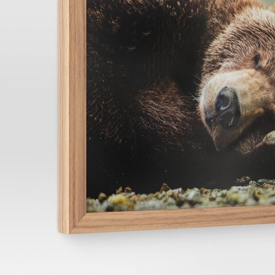 20&#34; x 16&#34; Bear Photography Framed Art Brown - Threshold&#8482;