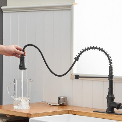 Matte Black Pull-Down Kitchen Faucet with Deck Plate