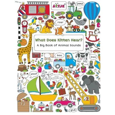 What Does Kitten Hear? - (Lotje Everywhere) (Hardcover)