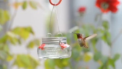 Clear Glass and Metal Hanging Hummingbird Feeder