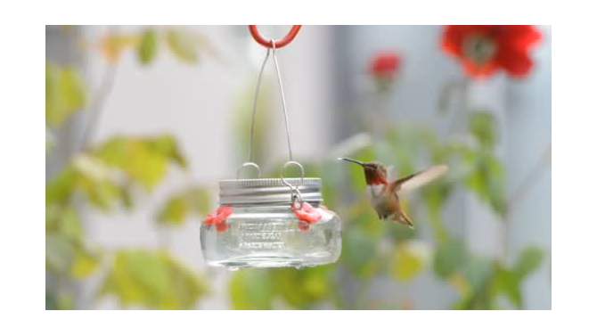 Nature&#39;s Way Bird Products 6oz Mason Jar Hummingbird Glass Feeder 2.5&#34;, 2 of 11, play video