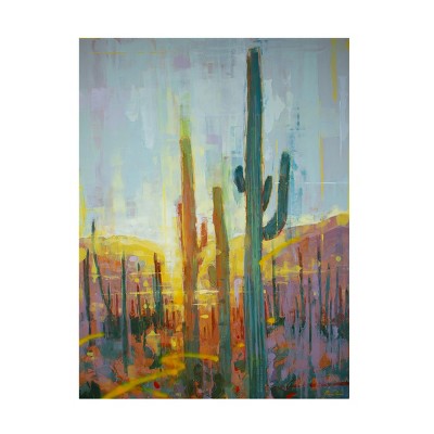 Trademark Fine Art - James Ayers Sonoran Golden Glow Canvas Art - 18 X 