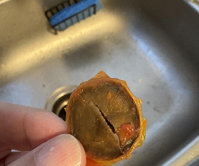 Guest review image 1 of 1, zoom in