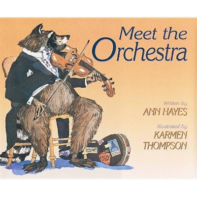 Meet the Orchestra - by  Ann Hayes (Paperback)