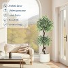 6FT Artificial Ficus Tree for Home Decor Indoor, Lifelike Fake Ficus Tree with Pebbles & Green Fake Moss - 4 of 4