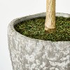 Banyan Leaf Potted Tree - Threshold™ designed with Studio McGee - image 4 of 4