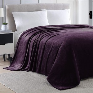 Home Mart Goods Queen Size Purple Extra Soft Cozy Microfiber Throw Picnic Sofa Bed Blanket - 1 of 4