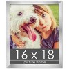 PosterPalooza | 16x18 Wood Frame with UV Acrylic, 6 Finishes: Black, White, Bronze, Silver, Wood, Mahogany - 2 of 4