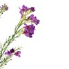 Allstate Floral 27" Purple Waxflower Artificial Silk Floral Spray - 3 of 4