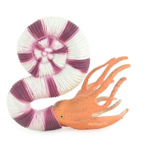 Ammonite, Prehistoric Marine Animal, Ocean Fossil, Museum Quality, Rubber, Hand Painted, Realistic Toy Figure, Model, Kids,  4 Inches.  CH1048 BB216 - 1 of 4