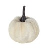 Whisen Set of 4, 2" Velvety Pumpkin In Mesh Bag, Bag/12, Harvest Festival Fall Festival & Thanksgiving Decor - White - 4 of 4