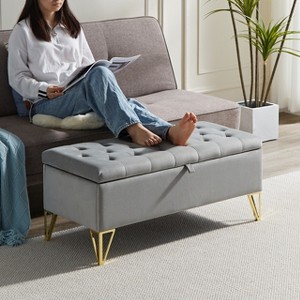 Gulches Light Grey Velvet Storage Bench - 38"W¡Á17"D¡Á17"H, Gold Stainless Steel Legs, Large Storage for Entryway Bedroom Living Room Key Features - 1 of 4