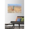 Trends International The Comedy Wildlife Photography Awards: Anup Deodhar - Rockstar Unframed Wall Poster Prints - 2 of 4
