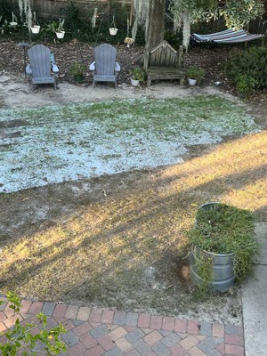 Guest review image 1 of 1, zoom in