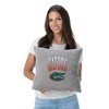 NCAA Florida Gators 16" Heather Gray Sweatshirt Pillow - 2 of 4