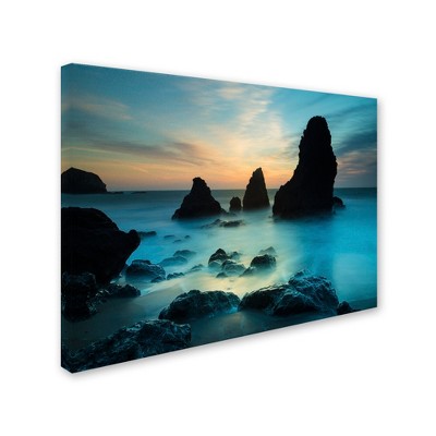Trademark Fine Art -Moises Levy 'Rodeo Beach I' Canvas Art