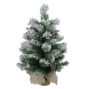 Northlight 2 FT Flocked Pine Artificial Christmas Tree in Burlap Base - Unlit - 1 of 4