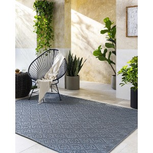 Hauteloom Bandit Gray Area Rug - 1 of 4