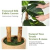 5-6FT Artificial Golden Pothos Plant - Realistic Faux Scindapsus Aureus in Decorative Pot, Indoor Floor Tree for Home & Office Decor - 4 of 4