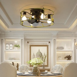 Flush Mount Ceiling Fans with Lights and Remote Control green Caged Low Profile Ceiling Fan - 1 of 4