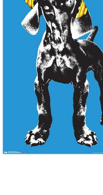 clear push pins bundle