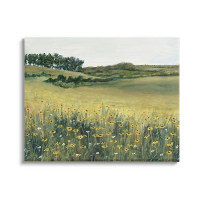Stupell Industries Rural Daisy Meadow Canvas Wall Art