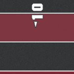 south carolina gamecocks