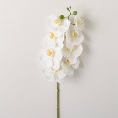 Sullivans Artificial White Phalaenopsis Spray 35"H