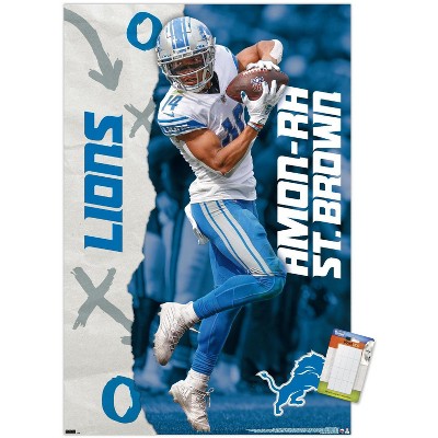 Trends International Nfl Detroit Lions - Retro Logo 14 Framed Wall Poster  Prints : Target