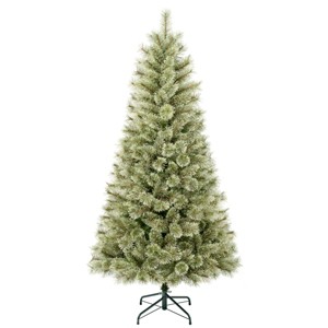 6' Unlit Hinged Arcadia Cashmere Pine Artificial Christmas Tree - National Tree Company - 1 of 4