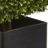 HomeStock  2.25 ft. Artificial Boxwood Tree in Planter for Indoor/Outdoor - 3 of 4