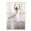 Trademark Fine Art -The Macneil Studio 'Ballet Dancer' Canvas Art - 2 of 3