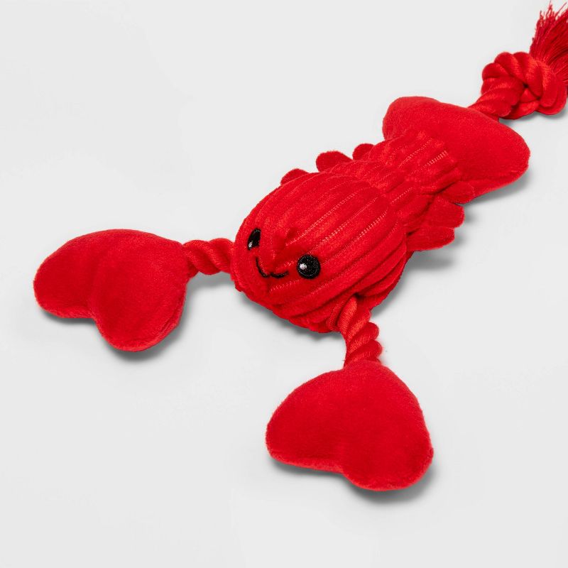 10&#34; Valentines Rope &#38; Lobster Plush Dog Toy - Boots &#38; Barkley&#8482;, 4 of 5