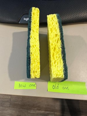 Brillo Estracell Heavy-Duty Scrub Sponge (3-Count Case of 8), Yellow / Green