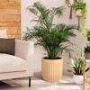 14.5/23 Inch Tall Planters Set of 2, Marble Finish Self Watering Pots for Outdoor & Indoor Plants, Living Room, Home, Office, Patio, Porch, Garden - 2 of 4