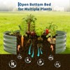 Galvanized raised garden bed kit, oval raised planters with open base, metal planter box, suitable for vegetables, flowers, herbs and fruits. - 4 of 4