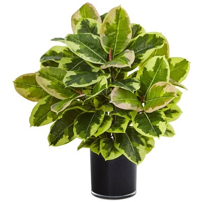 Nearly Natural 2-ft Rubber Plant in Glossy Cylinder (Real Touch)