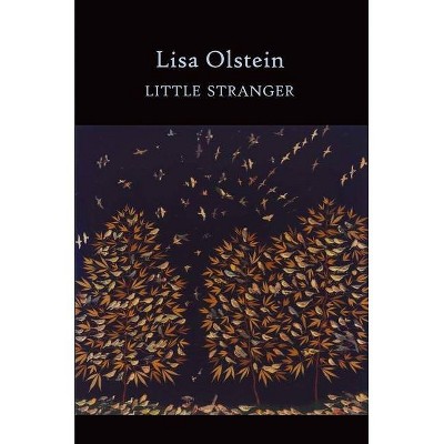 Little Stranger - (Lannan Literary Selections) by  Lisa Olstein (Paperback)