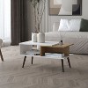 Okak Rectangle Coffee Table with a Door, Conical Legs, and Open Storage, Scratch-resistant Surface for Living Room/Office, Space-Saving - 3 of 4