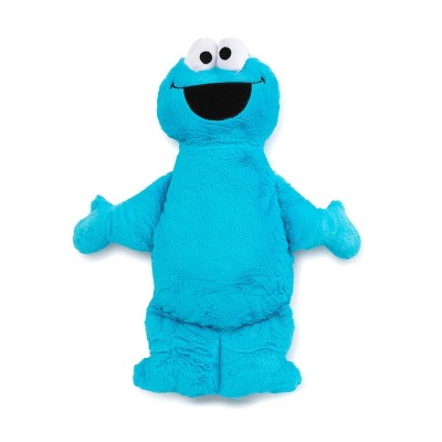 Sesame Street Cookie Monster Kids' Pillow Buddy Blue : Target