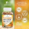 Turmeric Curcumin Gummies 95% Curcuminoids Cinnamon, Ginger, Black Pepper Extract Max Absorption Joint Supplement - 120 Gummies By Nature's Nutrition - 4 of 4