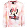 Disney Minnie Mouse Girls Fur French Terry Sweatshirt and Leggings Outfit Set Toddler to Little Kid - 4 of 4